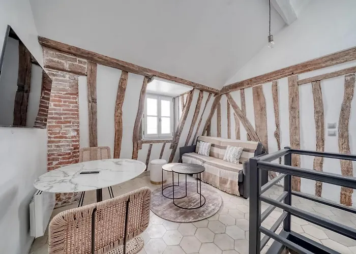 Ultra Central Historical Parisian Flat - Louvre